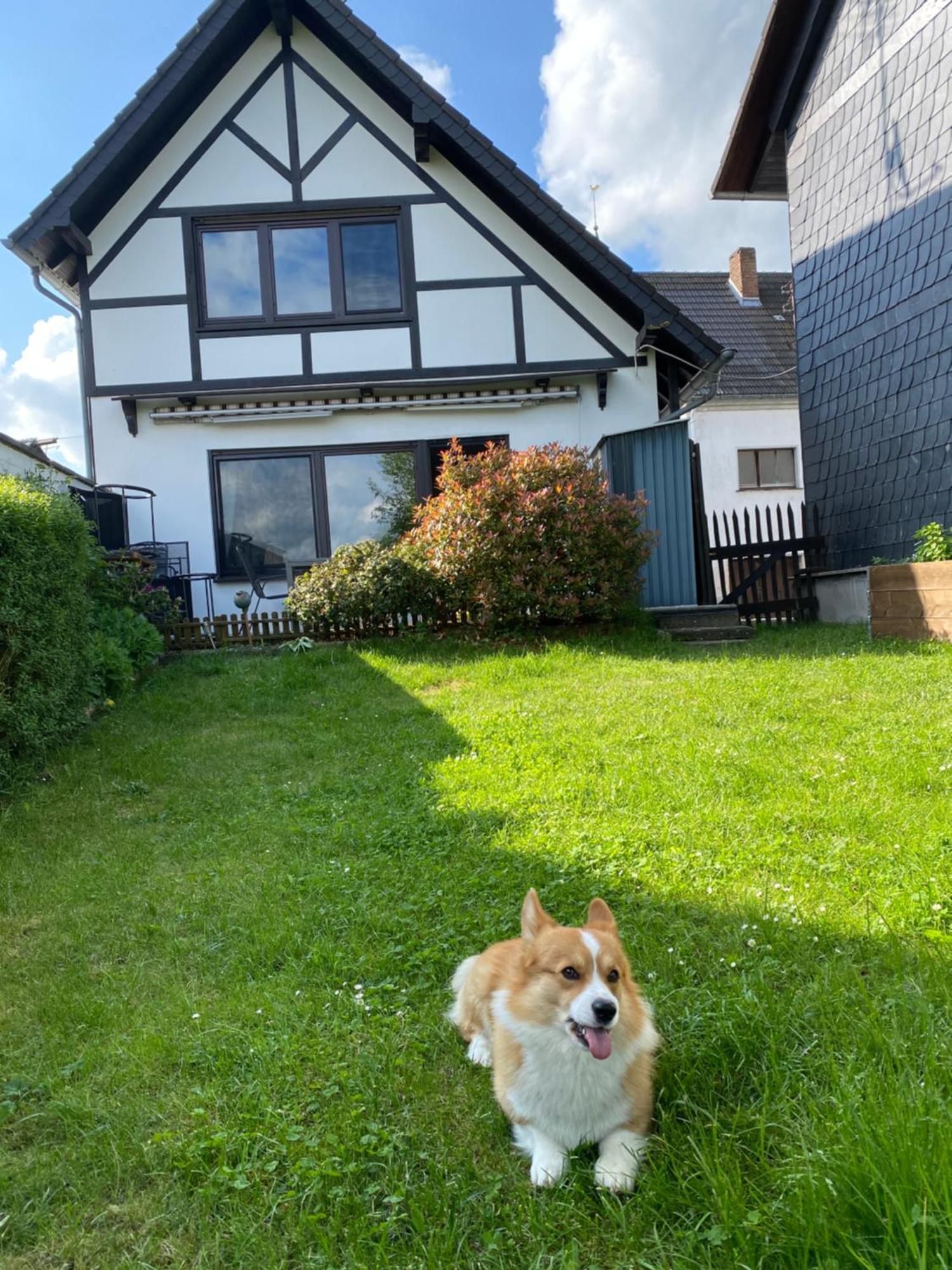 Eifel Ferienhaus Luna Ohlenhard Exterior foto